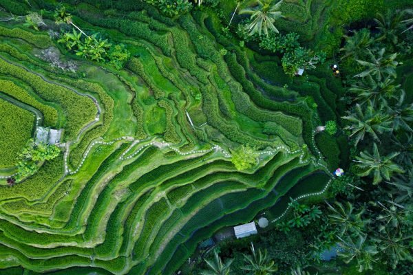 frank-nothdurft-sNQR5KY4V9Q-unsplash