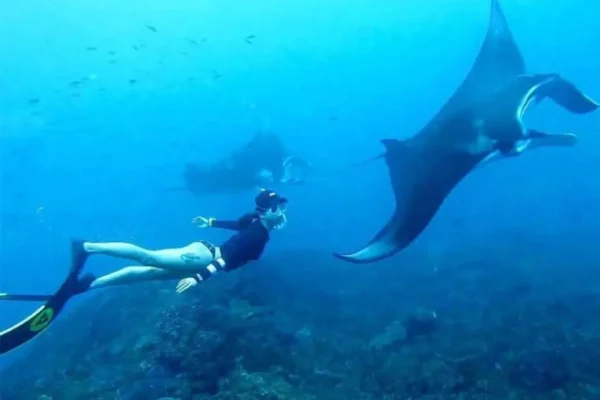 snorkeling manta bay (1)