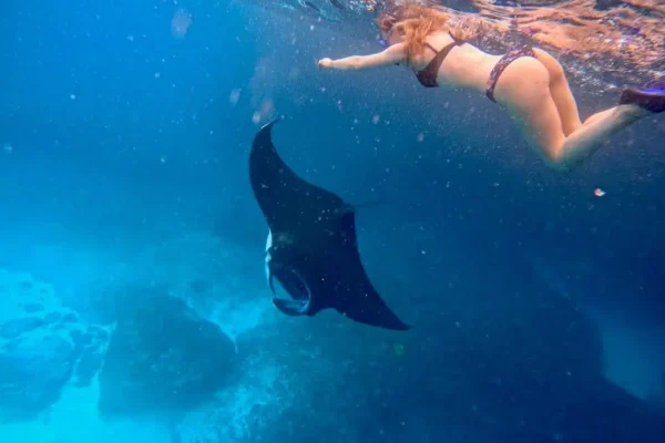 snorkeling manta bay (2)