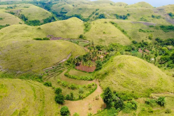 teletubbies hill (3)